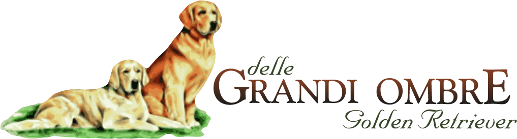 Delle Grandi Ombre